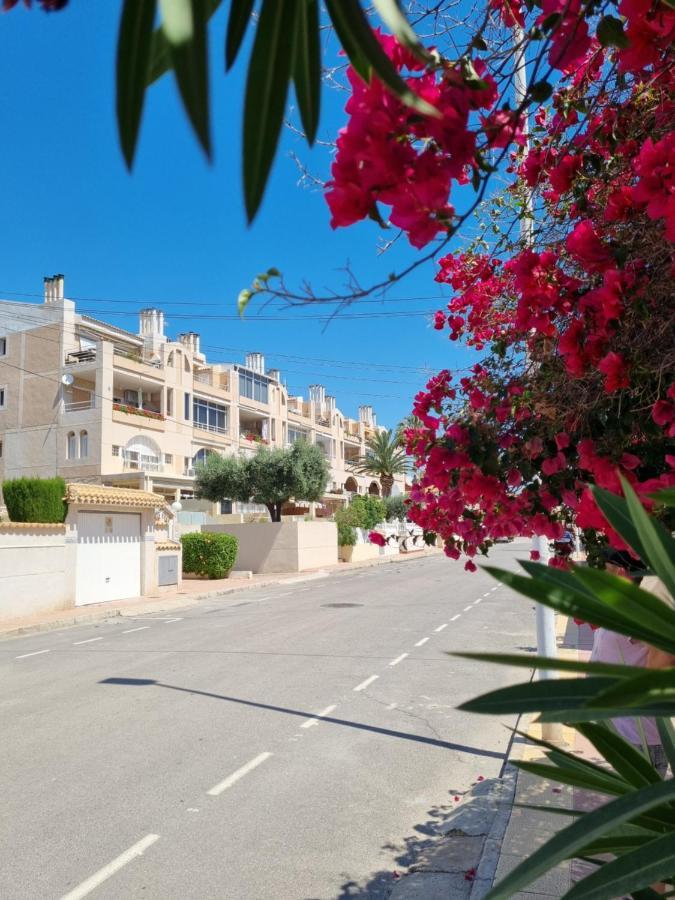 Flamenco Penthouse Sea View & Swimming Pool Διαμέρισμα Τορεβιέχα Εξωτερικό φωτογραφία